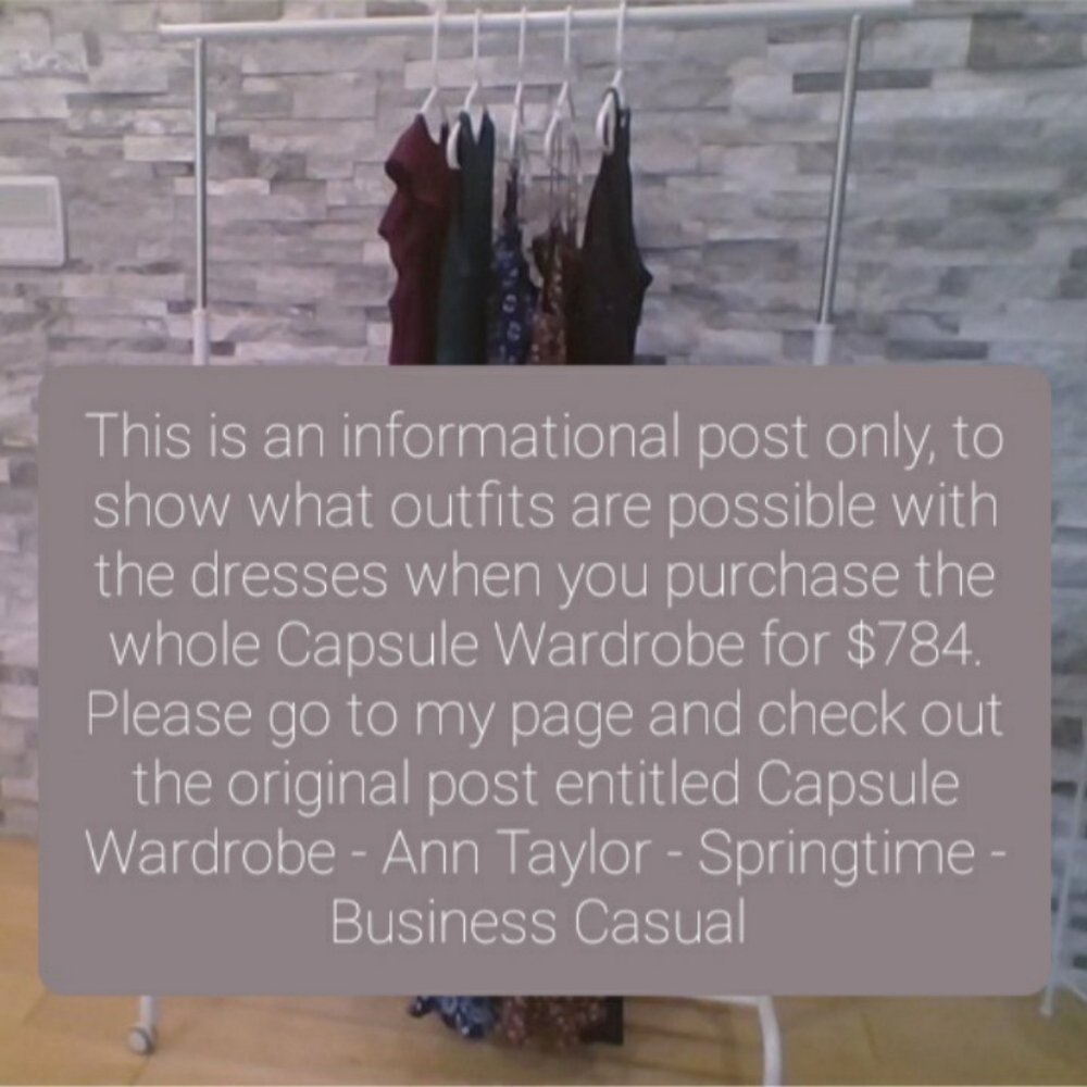 THE DRESSES - 5 of 33 pieces in a Capsule Wardrobe listed for $784